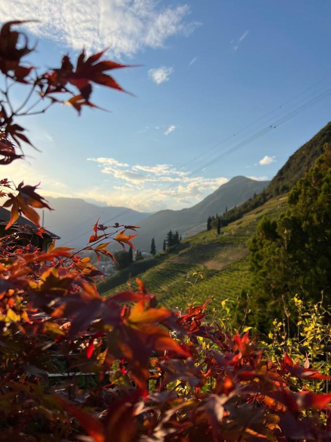 Weingut Eberlehof Bolzano Exterior foto