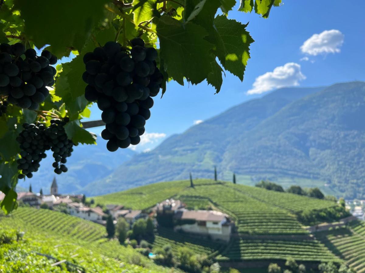 Weingut Eberlehof Bolzano Exterior foto