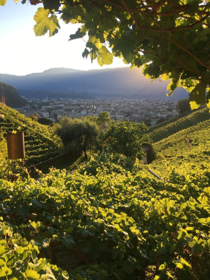 Weingut Eberlehof Bolzano Exterior foto